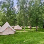 Outdoor Wedding Guest Accommodation: Planning Made Simple 5 - Brilliant Bell Tent Hire Bell tents nestled among lush greenery.