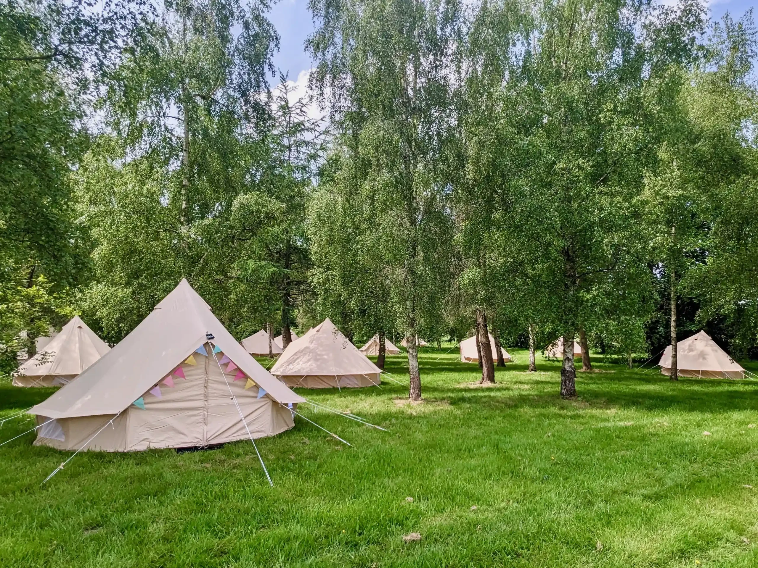 Party Bell Tent Hire | Get a Fast Quote | Landing Page 13 - Brilliant Bell Tent Hire Bell tents nestled among lush greenery.