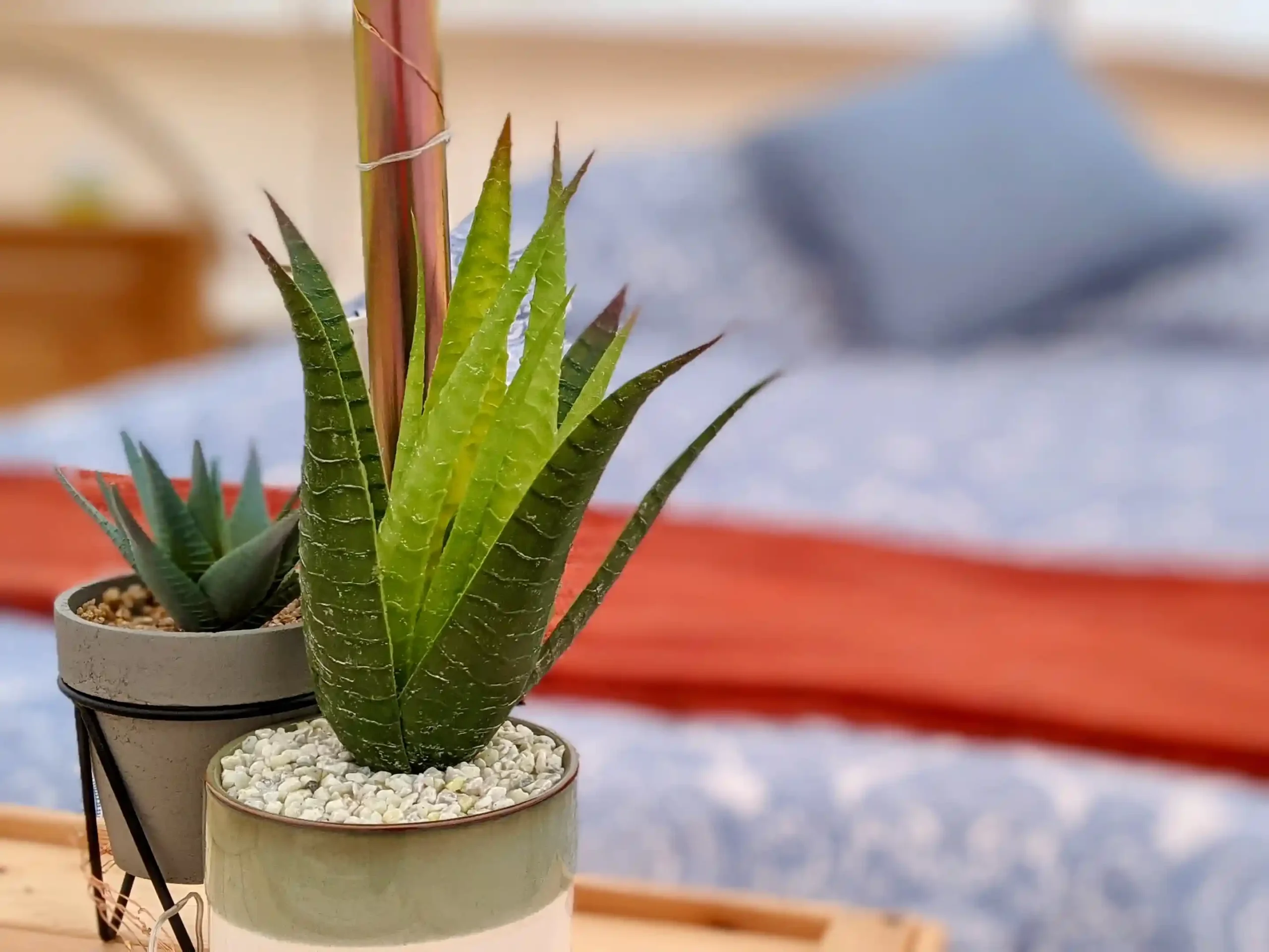 Party Bell Tent Hire | Get a Fast Quote | Landing Page 14 - Brilliant Bell Tent Hire Brilliant Bell Tent Hire - interior close up of plants and decor